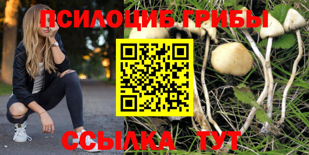 Псилоцибиновые грибы Psilocybine cubensis  наркотики  Вход с VPN  Чехов  Галлюциногенные грибы мухоморы 